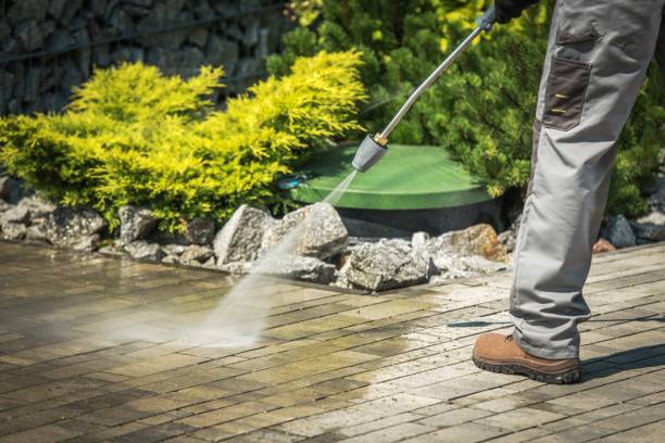 Professional  Pressure Washing Services in Morton, TX