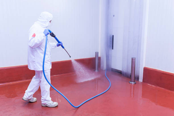 Best Spring Cleaning  in Morton, TX